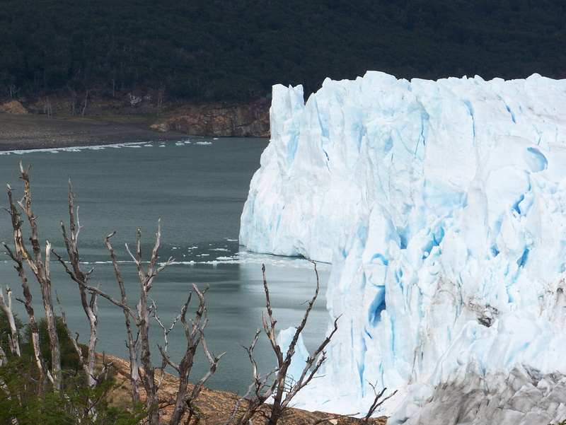winter, 2K, blue, water, landscape, sea, ice, cold, tree, frozen, beauty in nature, cold temperature, wilderness, Perito Moreno, no People, Glacier, day