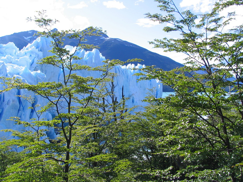 snowcapped mountain, land, sky, idyllic, tranquil scene, forest, perito moreno, low angle view, tranquility, nature, beauty in nature, glacier, scenics - nature