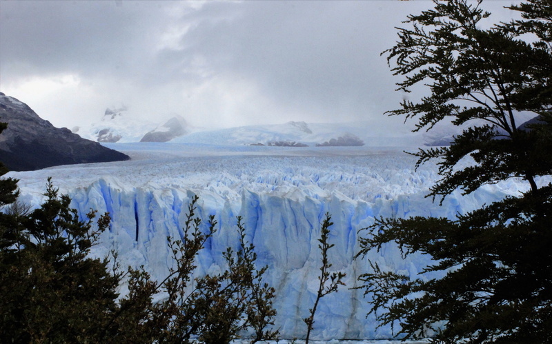 plant, mountain, outdoors, calafate, power, tree, southern argentina, patagonia, 5K, flowing water, glacier, cloud - sky, argentina, scenics - nature