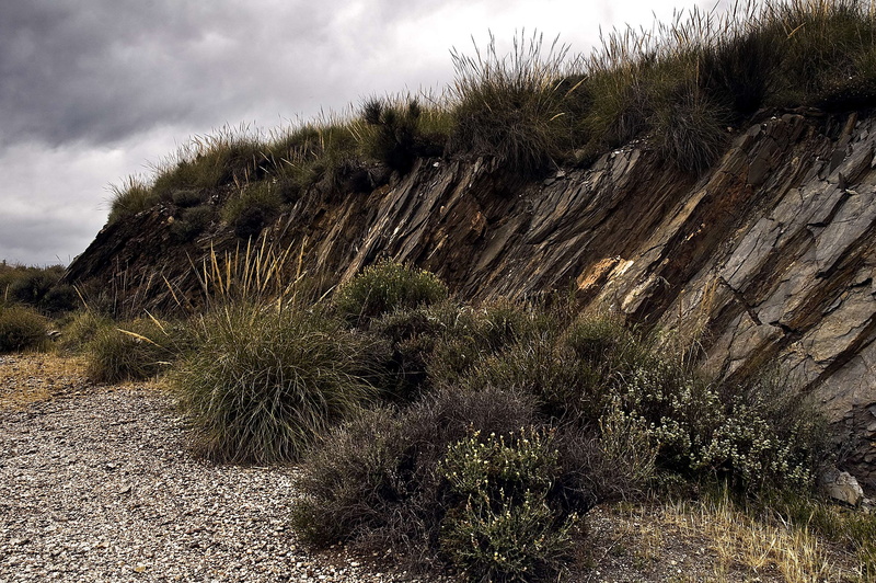 gilma, succulent plant, land, no people, desierto, arid climate, cloud - sky, nature, scenics - nature, 2K, rock, tranquil scene, plant, climate, day
