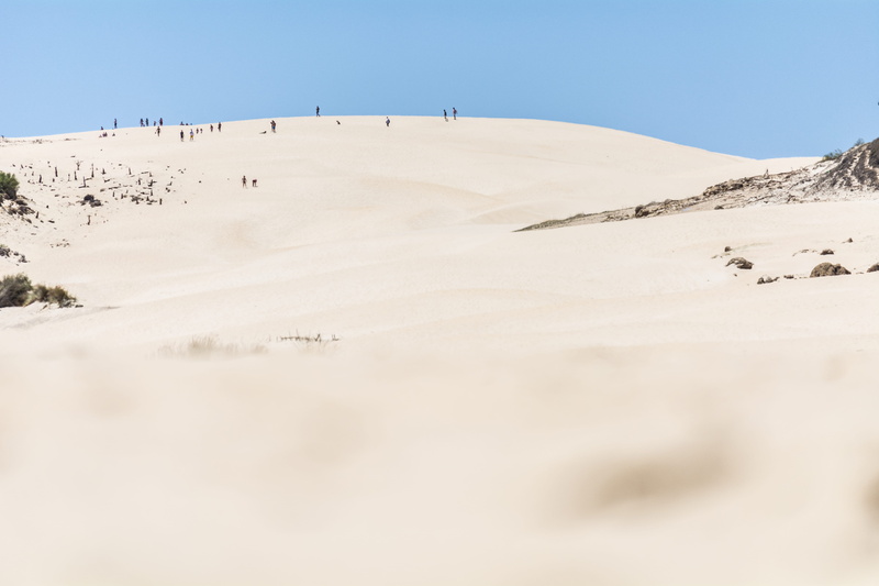 playa de bolonia, human, sky, playa, sand dune, soil, snow, group, playing, beach, day, dunes, person, environment, tranquility, scapep, dune, tranquil scene