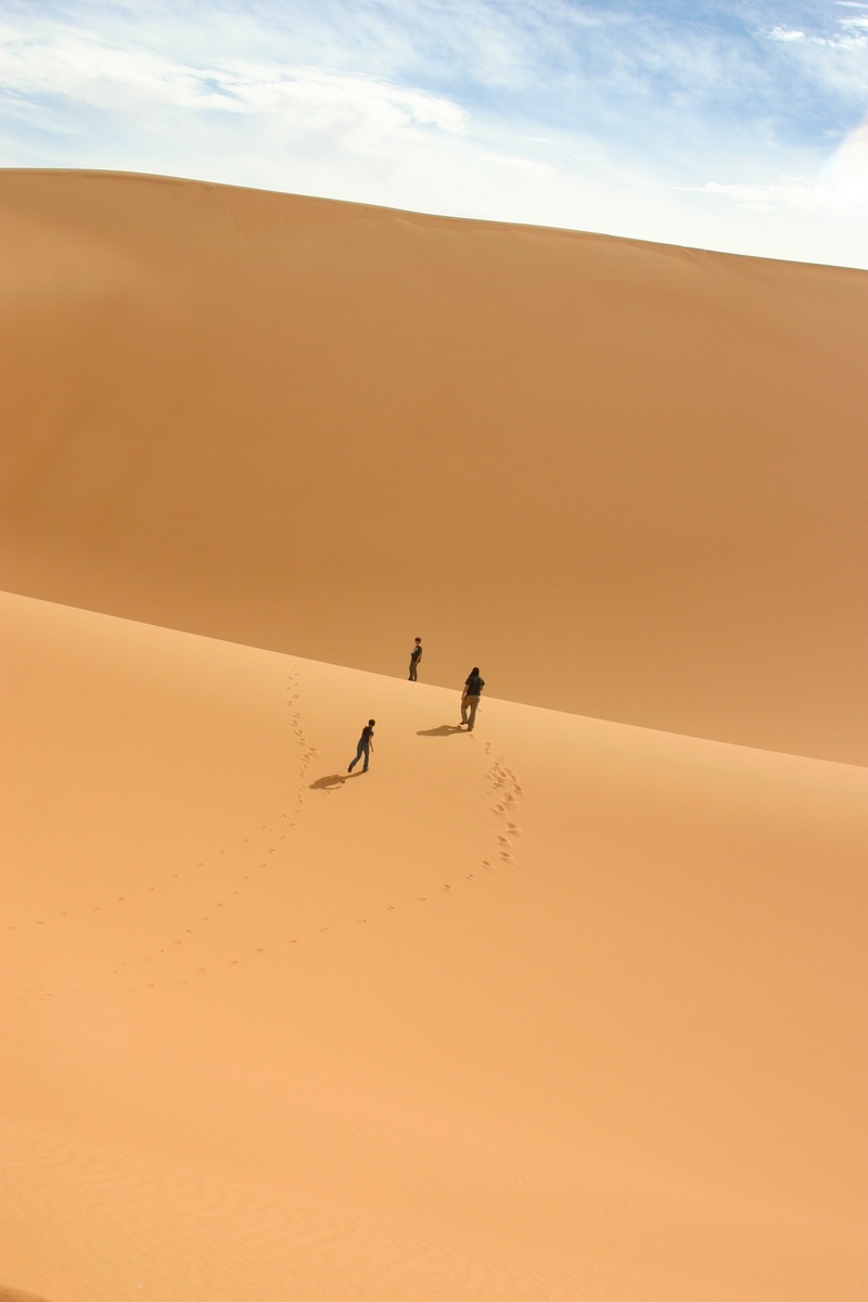landscape, cloud - sky, scenics - nature, vertebrate, non-urban scene, animal themes, bird, 2K, sahara, sky, desert, tranquil scene, sand, climate, sand dune