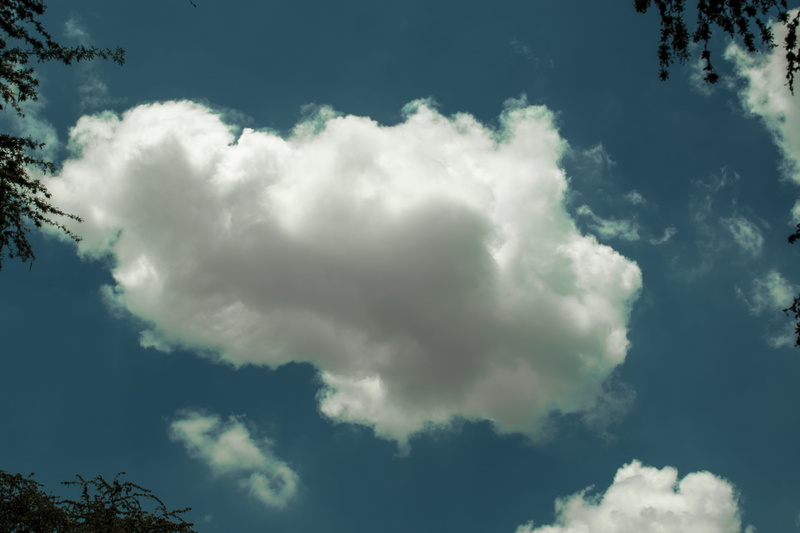 clouds, tree, no people, white color, sky, cielo, heaven, ica, day, idyllic, cloud - sky, plant, scenics - nature, nubes, nube, tranquil scene, 5K, non-urban scene