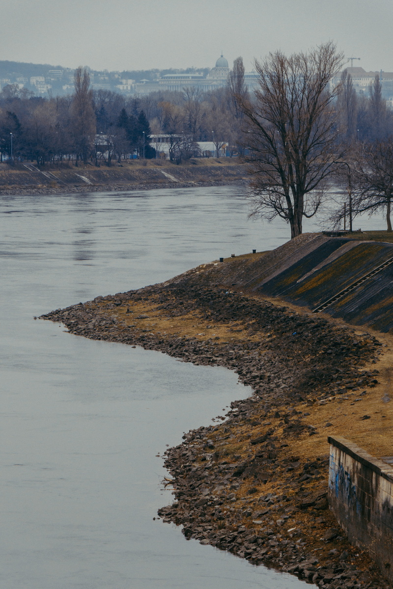 land, 4K, hungary, no people, blue, capital, yellow, tree, city, plant, day, cold temperature, bare tree, beauty in nature, cold, water, outdoors, danube