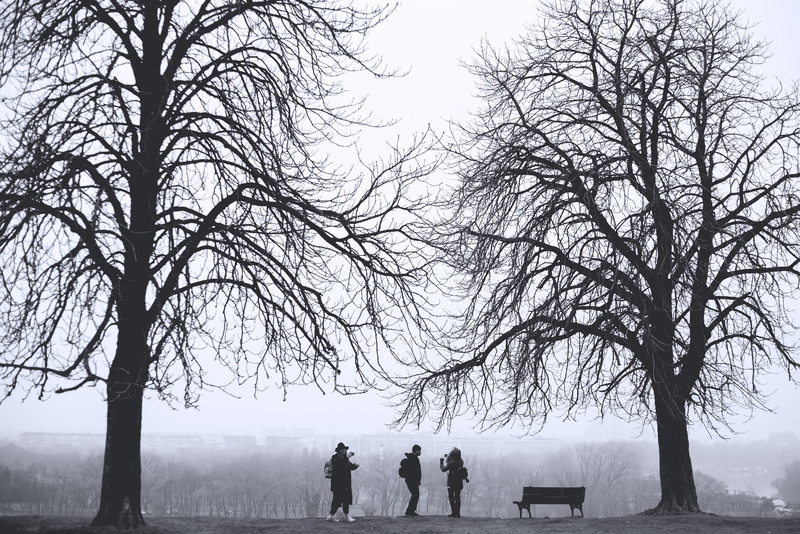 grayscale, leisure activity, fog, branch, bare, tree, women, cold temperature, daytime, serbia, real people, togetherness, photo, savamala, nature, warm clothing