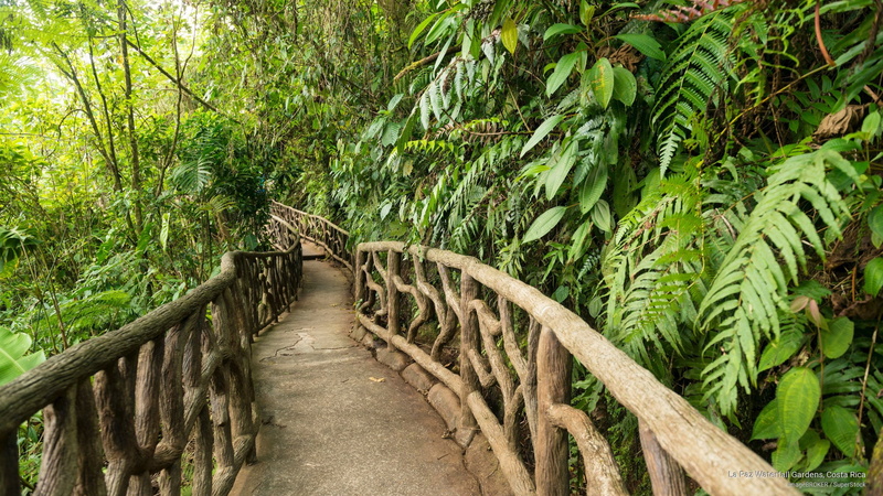 costa, la, gardens, 2K, waterfall, rica, paz, Nature
