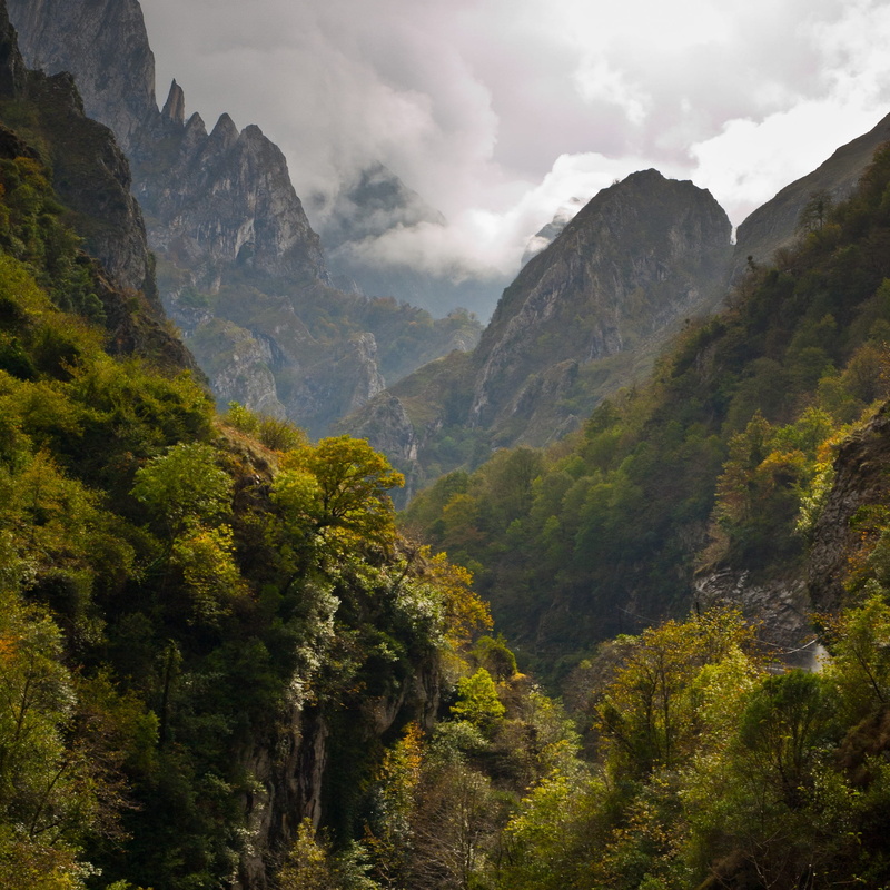 scenics - nature, mountain peak, landscape, valley, cloudy, tranquility, beauty in nature, sky, range, plant, picos de europa, nature, tree