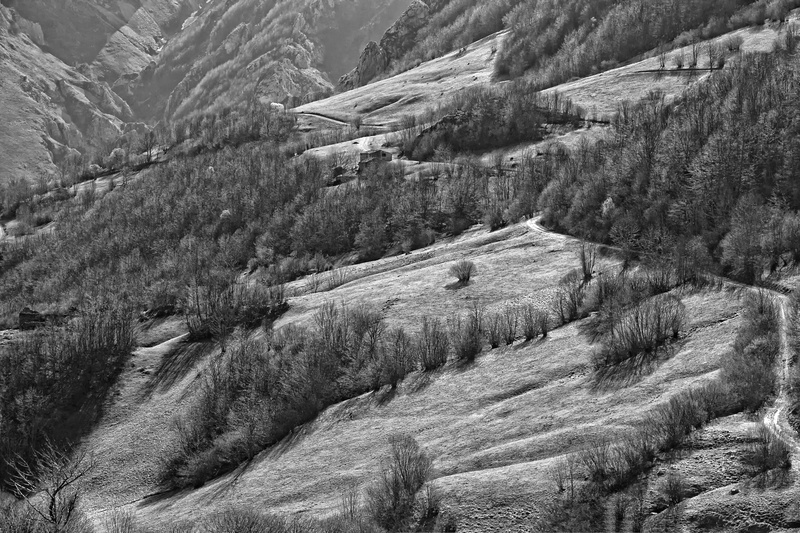 remote, asturias, spain, no people, environment, mountain, non-urban scene, beauty in nature, coniferous tree, land, 4K, tree, scenics - nature, tranquility