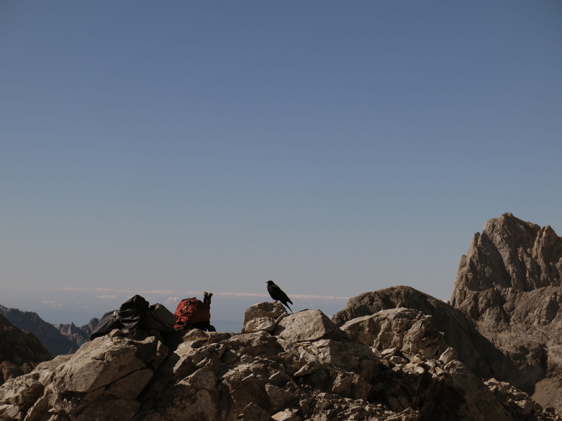 rock formation, hiking, copy space, 4K, adventure, sunlight, people, rock - Object, solid, scenics - nature, men, rock, day, real people, Mountain, clear sky