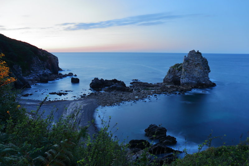 green, leaf, beach, daytime, plant, Oriente, Asturias, Landscape, f4, rock - Object, Canon  EOS  6d, Cantabrian Sea, side, Mar Cantábrico, near, Eastern