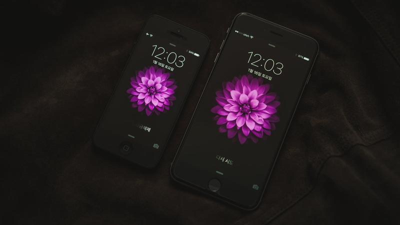 smart Phone, editorial, text Messaging, apple Computers, wireless Technology, portable Information Device, global Communications, purple, flowering plant
