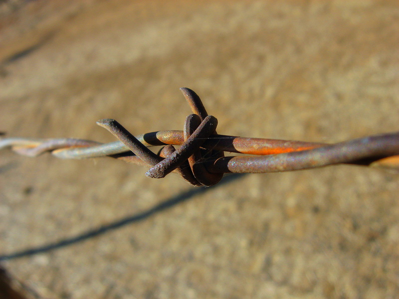 1080P, focus on foreground, close-up, fence, wire, security, sharp, brown, single object, alambre, camino, cafe, no people, chile, safety, barrier, nature