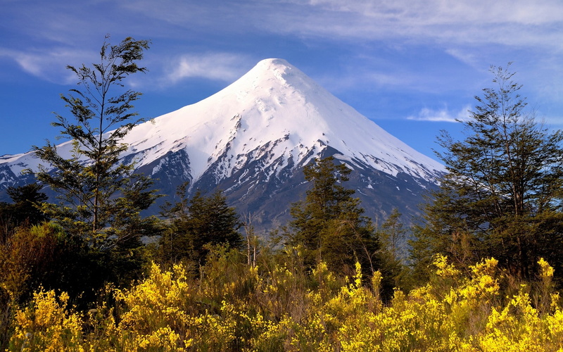 growth, yellow, sky, white, plant, outdoors, mountain, snowy peak, landscape, cold temperature, 1080P, environment, winter, tree, volcano, pine tree, capped