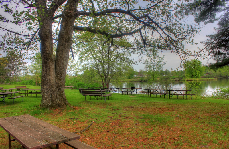 Council Grounds State Park, water, outdoors, tranquility, focus on foreground, park Bench, 2K, tranquil Scene, Picnic, land, growth, by the lake, park