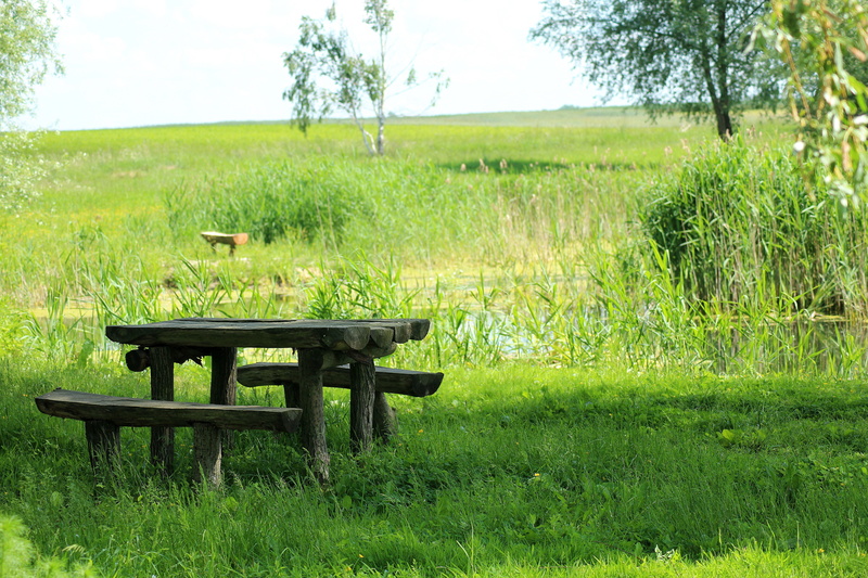 green, nature, field, grass, spring, growth, green color, day, tranquil scene, park bench, water, tree, wood - material, empty, seat, beauty in nature