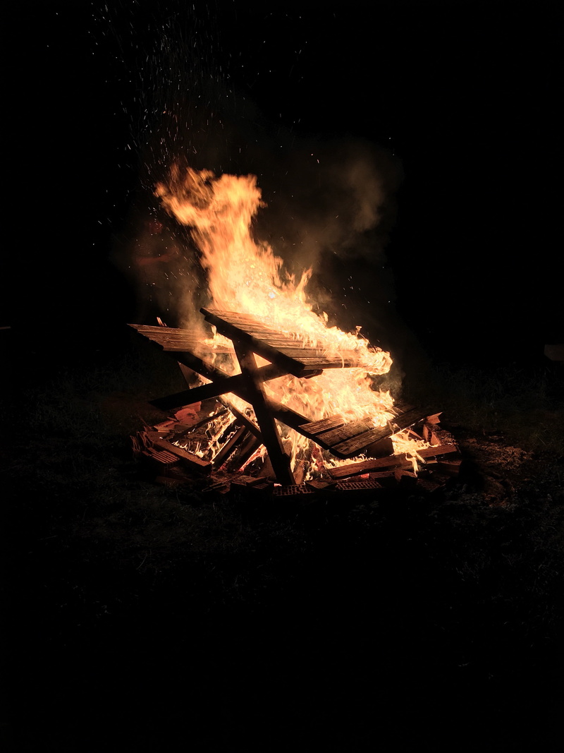 burning, nature, motion, wood, fire - natural phenomenon, no people, orange color, bonfire, night, picnic, black, firewood, camping, outdoors, heat - temperature