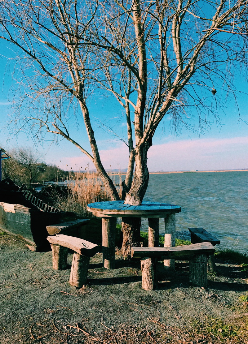 sea, seat, picnic table, blue, nature, plant, lake, day, tree, scenics - nature, water, beauty in nature, table, bare tree, no people, 4K, trunk, tranquil scene