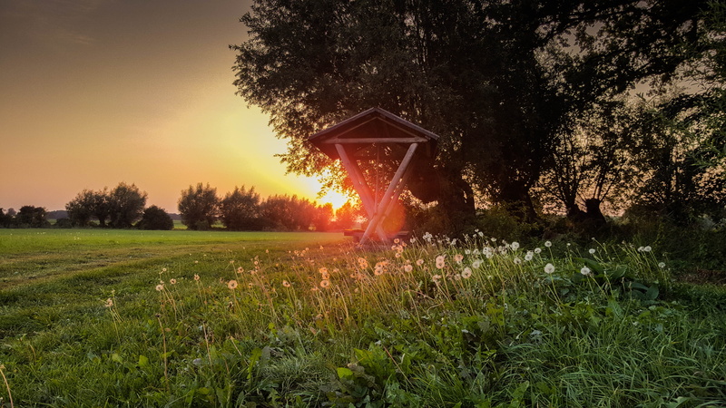 beauty in nature, environment, morning, grass, skies, sunrise, yellow, sun, growth, bench, trees, morgenrot, 5K, horizon, yellow purple, meadow, picnic