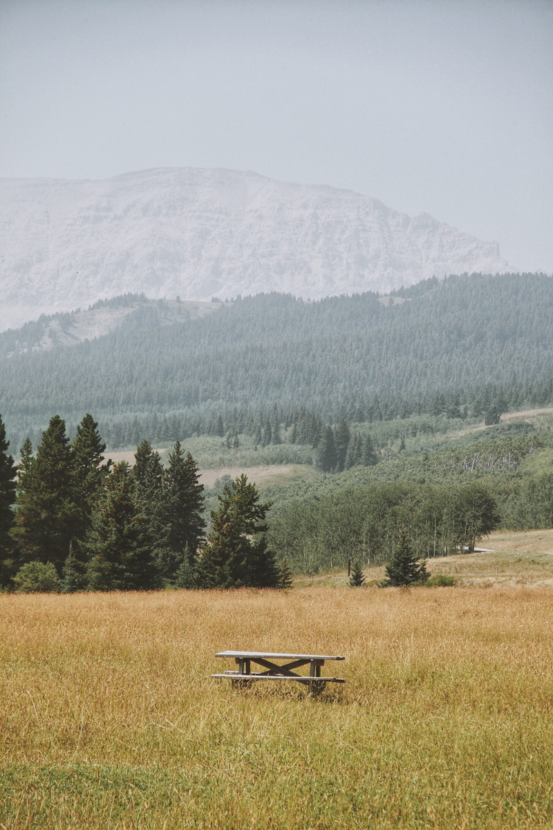outdoors, seat, rural, beauty in nature, furniture, mood, empty, tree, day, countryside, grassland, abies, field, land, middle, tranquility, picnic bench