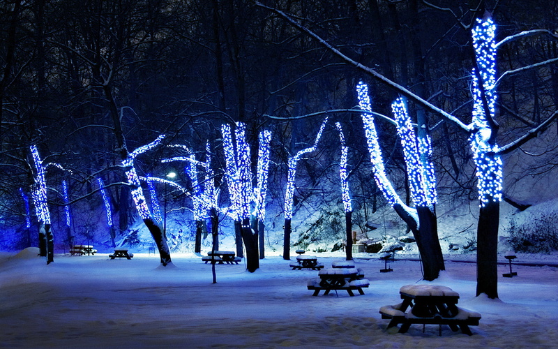 bench, tables, park, trees, lights, snow, 1080P, picnic, night, winter