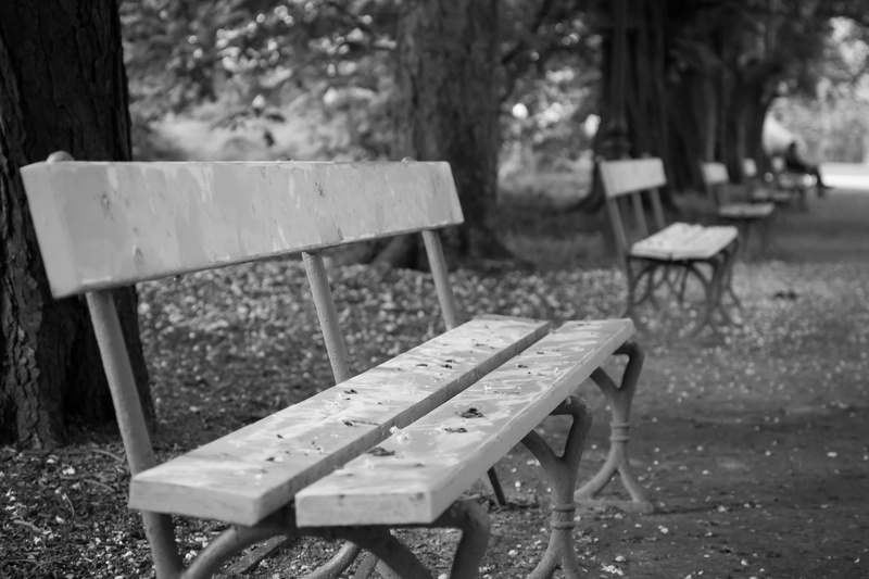 old, seat, no people, nature, day, relaxation, park - man made space, white, absence, park bench, picnic table, abandoned, table, bench, tranquility, focus on foreground