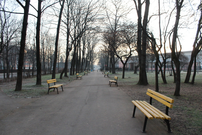 the way forward, no people, seat, daylight, tree trunk, wood - material, direction, park, wood, outdoors, environment, landscape, beauty in nature, bench