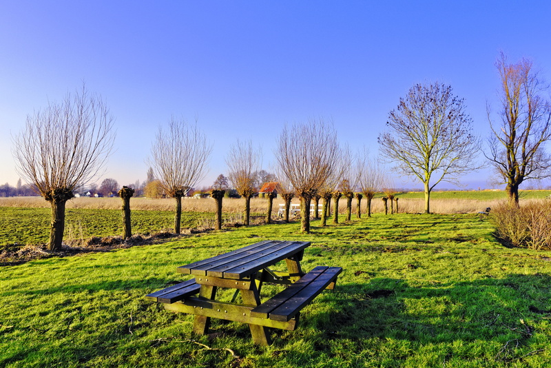 amstelveen, bare, resting place, outdoors, outdoor furniture, field, tranquility, placed, bare tree, empty, dutch, green color, ground, grass, landscape