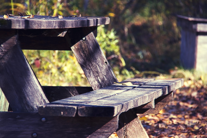 romantic, hike, log, absence, focus on foreground, wood, autumn, wood - material, park, twilight, built structure, table, container, bench, thatch, thanksgiving