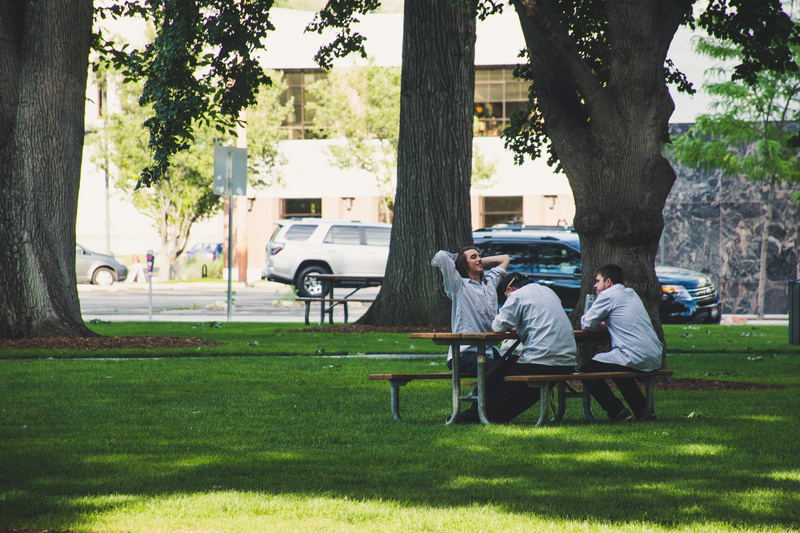 grass, tree trunk, day, couple - relationship, leisure, nature, picnic table, women, real people, seat, men, trees, 4K, group, photo, people, bench, park