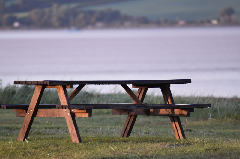 5K, no people, scenics - nature, picnic table, wood - material, port, grass, absence, nature, seat, sea view, park bench, beauty in nature, beach, tranquil scene