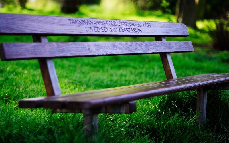 tranquility, park, grass, green, wood - material, land, brown, absence, relaxation, wooden, no people, Love, park - man made space, outdoors, expression