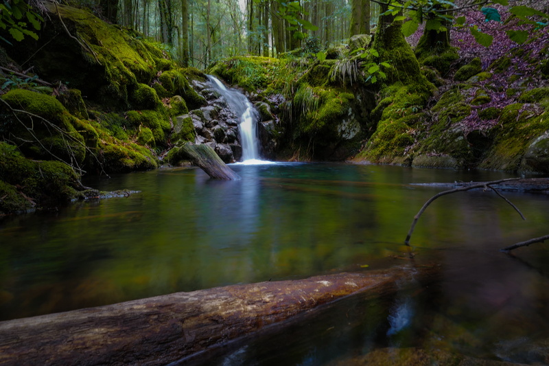 outdoors, Pontevedra, lake, scenics, flowing Water, river, forest, Spain, waterfall, 2K, Galicia, water, Panasonic, FZ, Lumix, landscape, green, da, stream