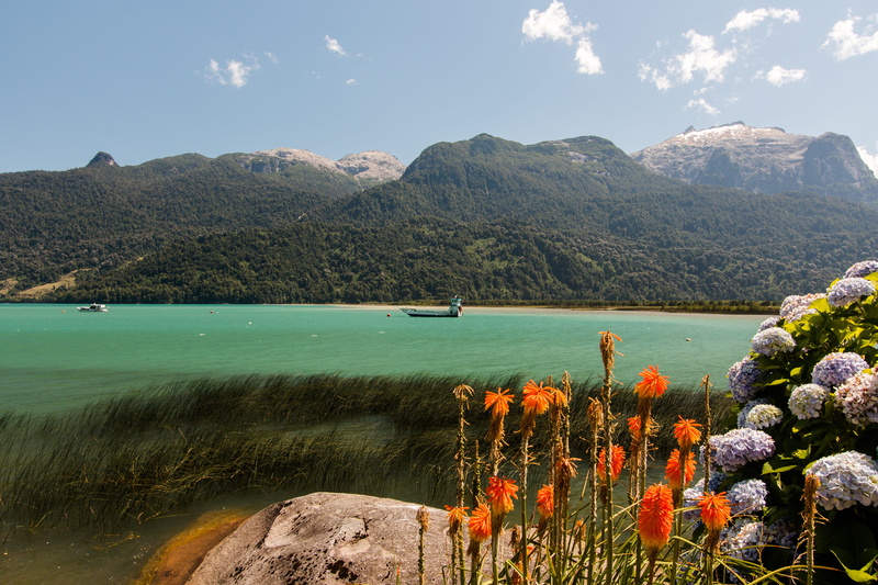 lake, flowering plant, non-urban scene, tranquil scene, cloud - sky, scenics - nature, tranquility, day, plant, flower, 5K, south america, petrohue, sky