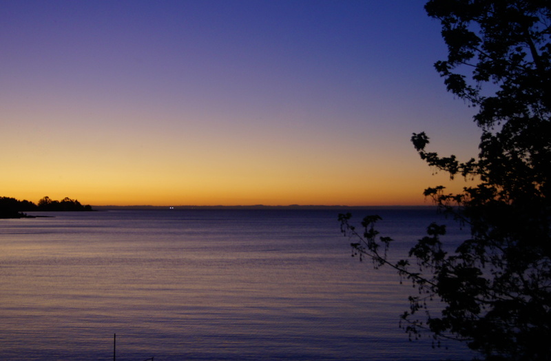 lake, tranquil scene, scenics - nature, nature, sea, sunset, plant, silhouette, tree, tranquility, forest, water, lago llanquihue, non-urban scene, no people