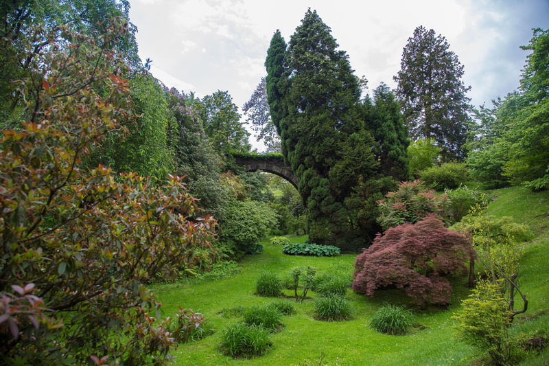 land, 4K, bridge, coniferous tree, scenics - nature, verbania, non-urban scene, tranquility, lush foliage, beauty in nature, green color, no people, outdoors