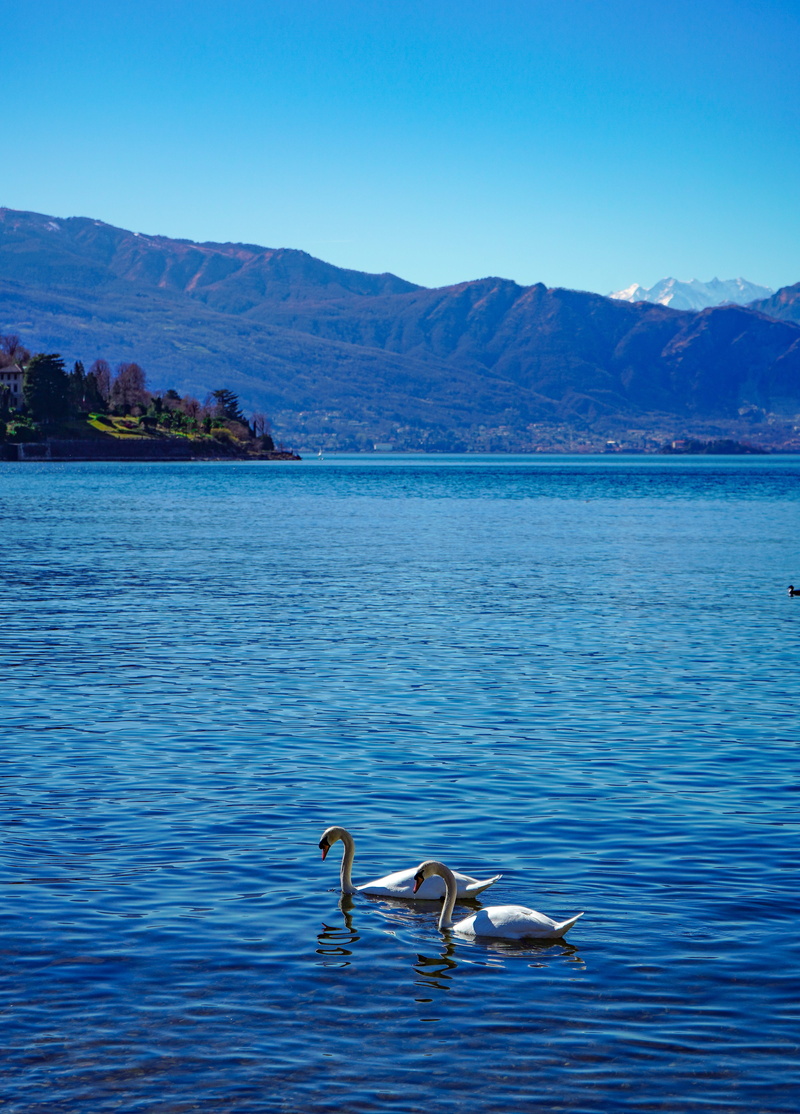laveno, lombardy, mountain, beauty in nature, elegant, elegance, blue, noble, varese, white, mountains, sky, day, background, waterfront, lake, nature