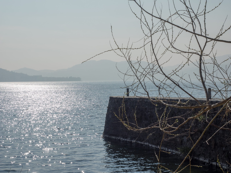 branch, italy, tranquil scene, nature, beauty in nature, tranquility, waterfront, outdoors, sky, day, idyllic, no people, lago maggiore, plant, lake, non-urban scene