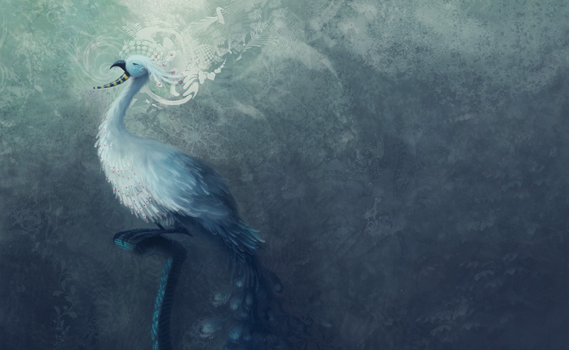 Peacock, animal body part, no people, bird, water, spread wings, nature, white, Painting, animal themes, feather, waterfront, animals in the wild, animal