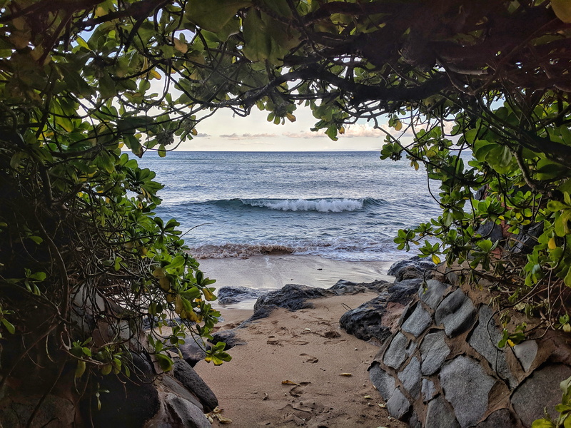 tranquil scene, no people, beauty in nature, plants, sand, day, 4K, nature, sea, 106 kaanapali shores pl, lahaina, tranquility, hideaway, sky, hidden