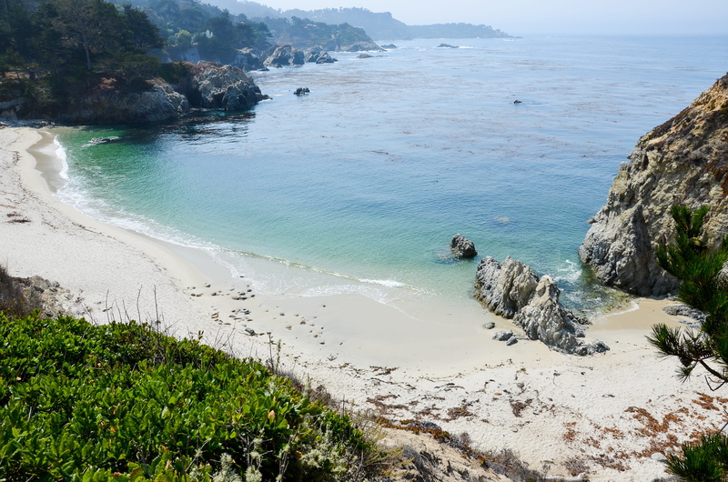 water, landscape, pacific, america, sea, point lobos, scenics - nature, west coast, beauty in nature, plant, land, horizon over water, summer, california