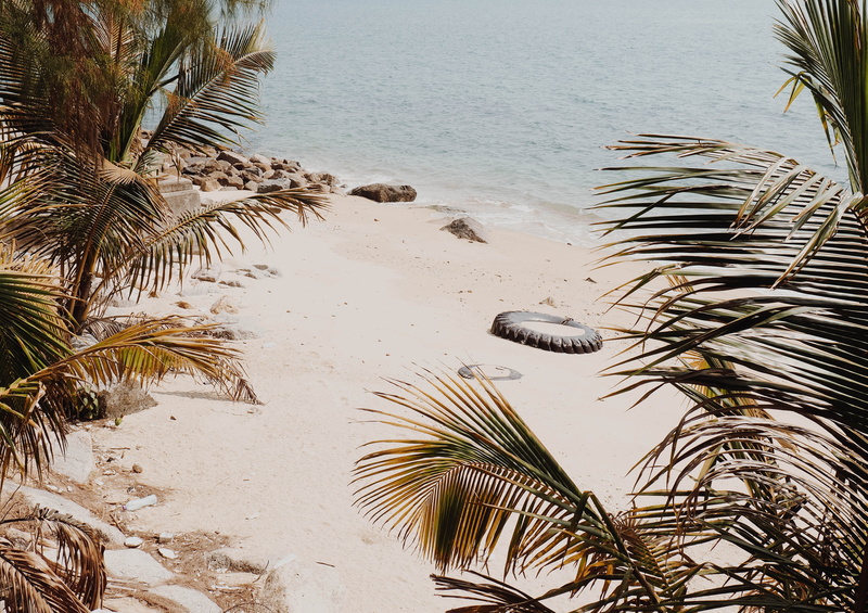 shallow, 4K, tranquility, beauty in nature, high angle view, tree, palm tree, sand, palm leaf, tropical climate, cove, outdoors, trees, coconut palm tree