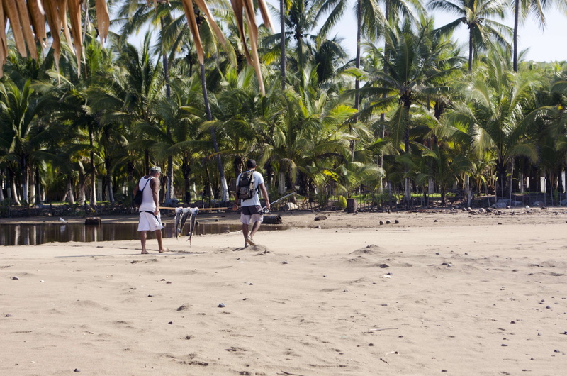 real people, women, day, jalisco, adult, palm trees, sand, 4K, palmeras, trabajo, coconut palm tree, land, outdoors, fishes, beach, men, full length, pesca