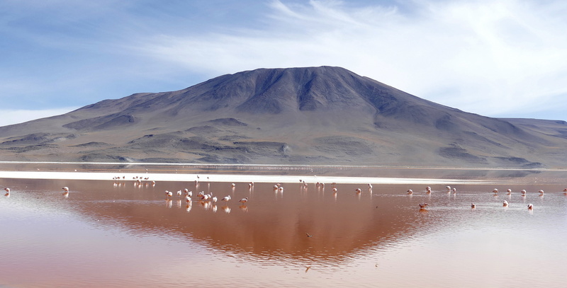 Laguna, tranquility, lagoon, 4K, outdoors, animal wildlife, land, snowcapped mountain, colorada, volcanic landscape, landscape, beauty in nature, water