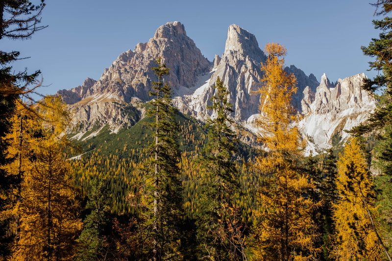 day, outdoors, peak, photowalk, landscape, land, pine tree, cold temperature, sky, environment, green color, coniferous tree, nature, gray, formation, scenics - nature