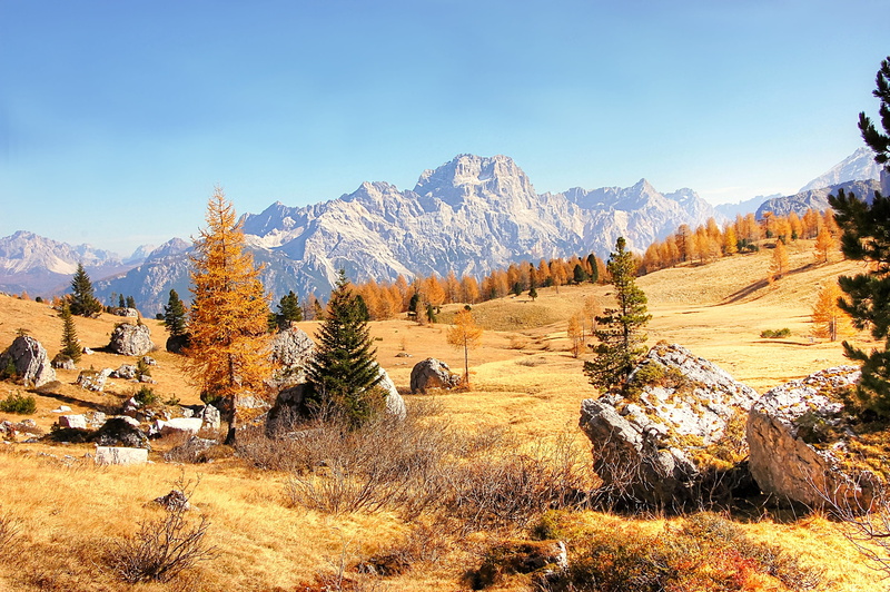 tree, alpine, tranquility, beauty in nature, landscape, field, alm, scenics - nature, mountain, italy, alpine panorama, rubble field, plant, dolomites