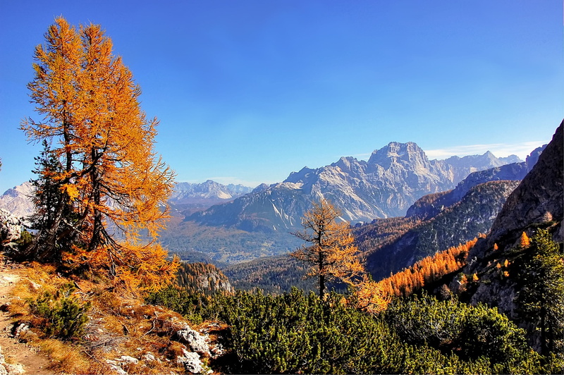 tree, landscape, hike, blue, scenics - nature, land, plant, mountain, idyllic, mountain peak, alpine panorama, alpine, sky, sorapis, beauty in nature, pine tree