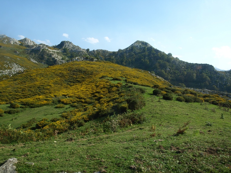 covadonga, day, landscape, scenics - nature, environment, nature, idyllic, tranquility, land, outdoors, asturias, beauty in nature, mountain, mountain range