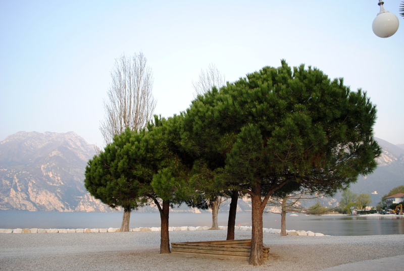 land, italy, sand, tranquil scene, mood, scenics - nature, trees, sky, beach, nature, lago di garda, mountain, tree, beauty in nature, water, promenade