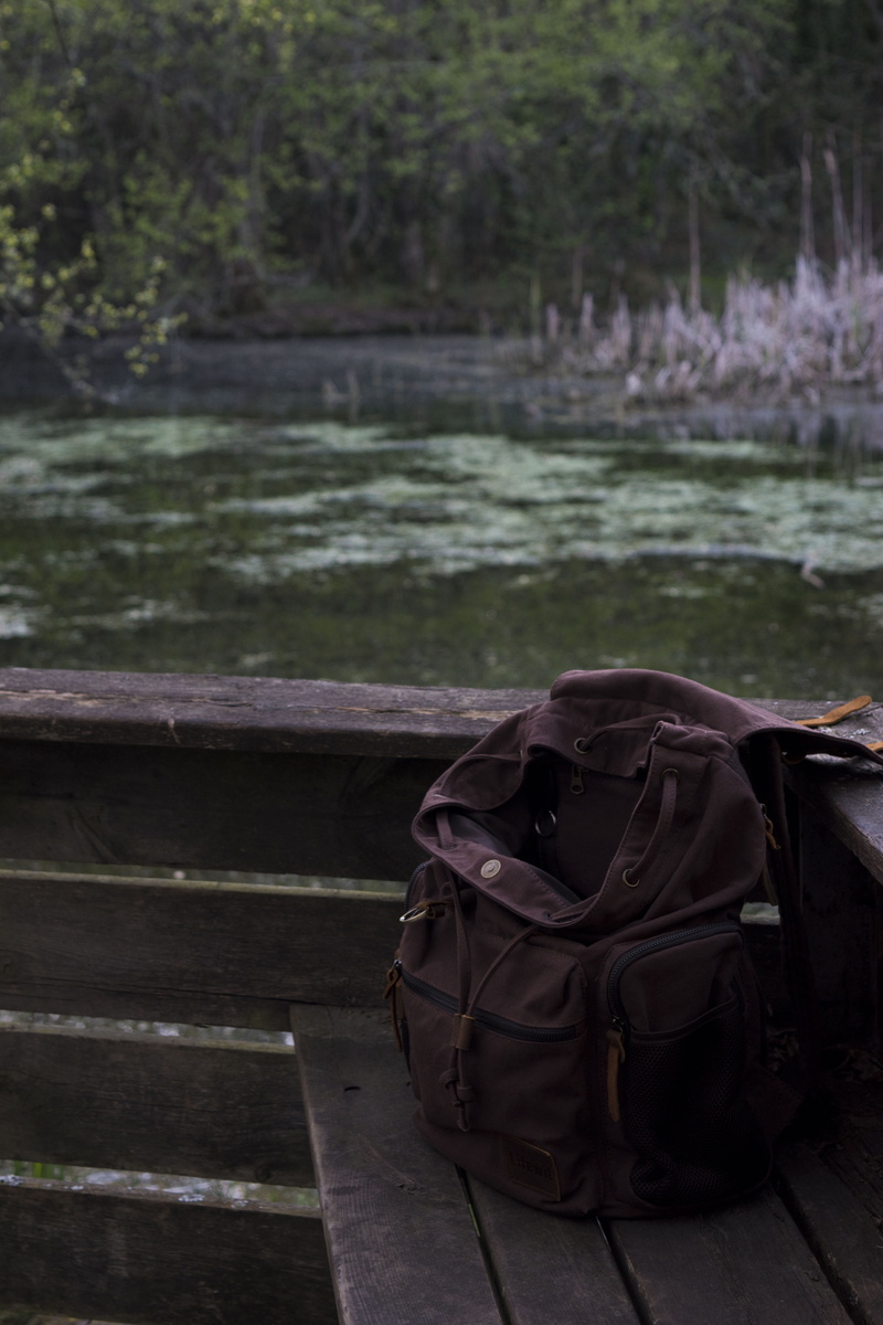 verde, sentimientos, water, lake, agua, non-urban scene, forest, plant, naturaleza, day, backpack, green, beauty in nature, wild, focus on foreground, vigo