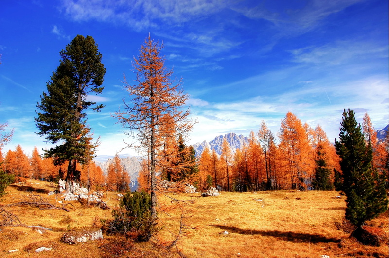 autumn, dolomites, clouds, woodland, sky, tranquil scene, change, mountains, mountain pass, scenics - nature, belluno, landscape, pine woodland, rubble field